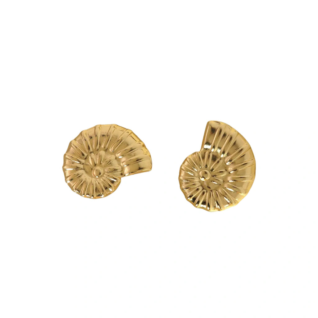 Aretes Chunky Coralina