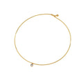 Collar Rígido Diamond