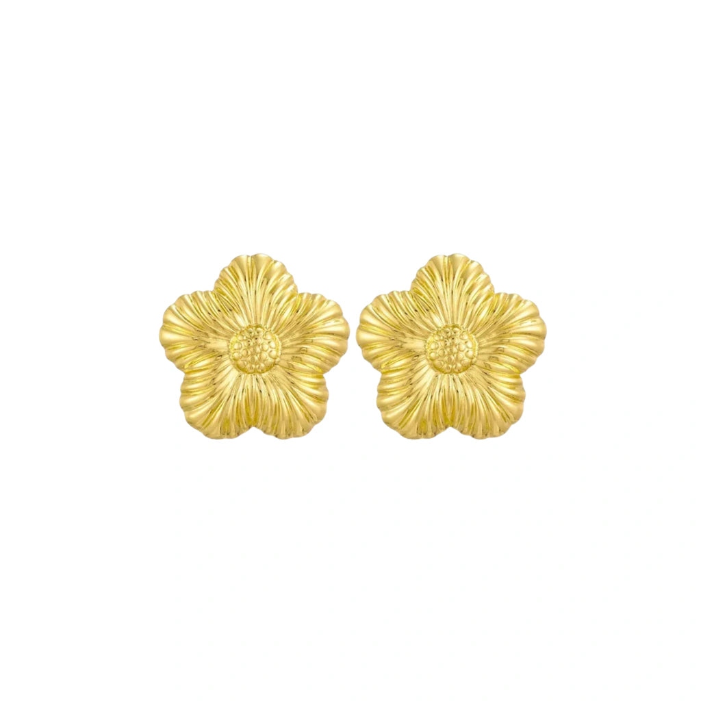 Aretes Frida