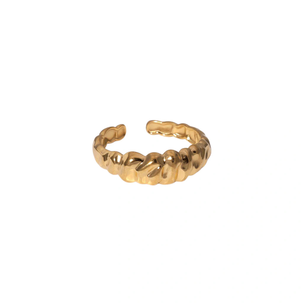 Anillo Everest