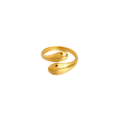 Anillo Dual