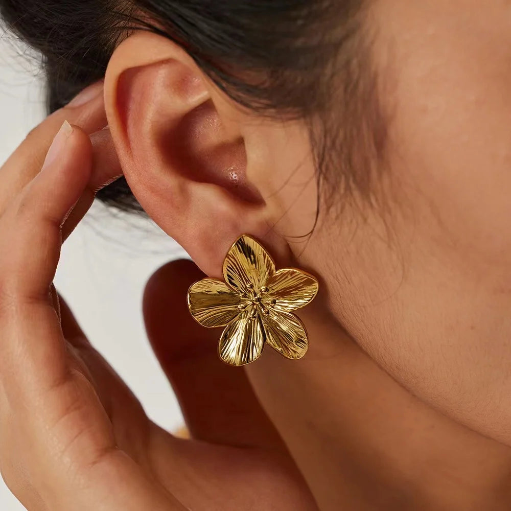 Aretes Aurora