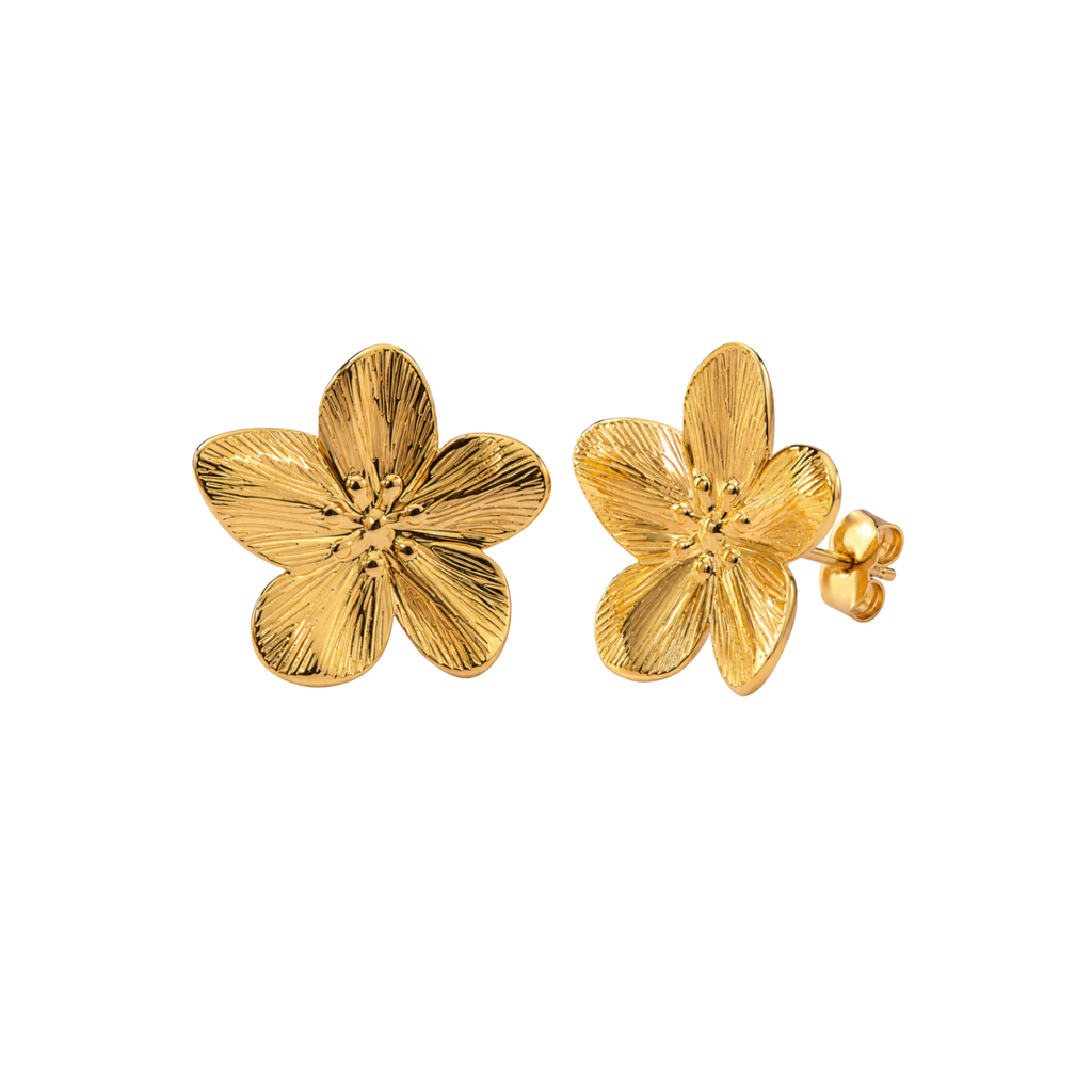 Aretes Aurora