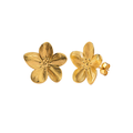 Aretes Aurora