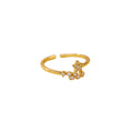 Anillo Flash