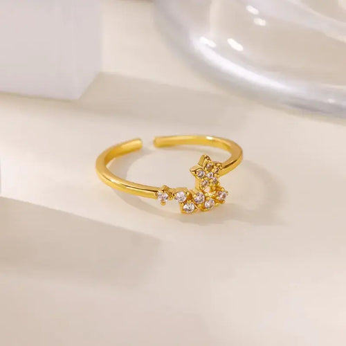 Anillo Flash
