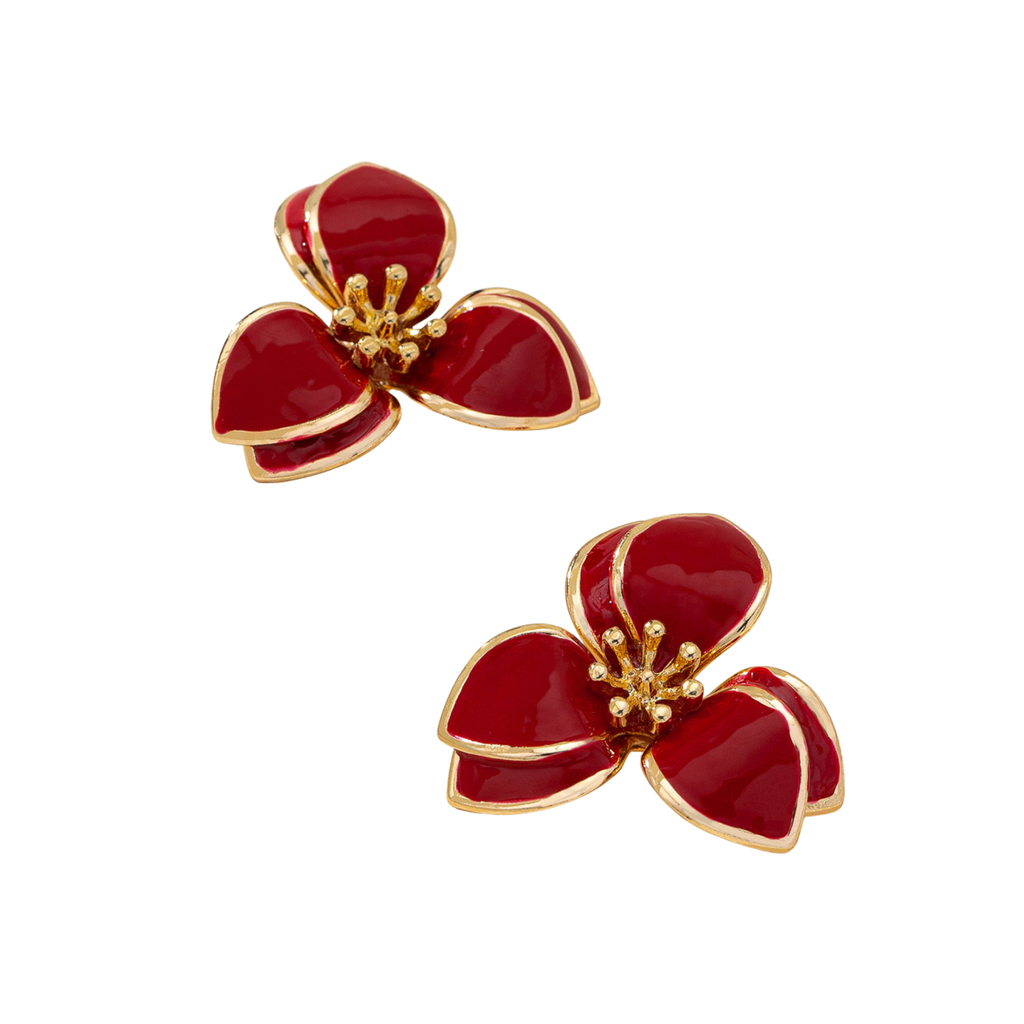 Aretes Garena