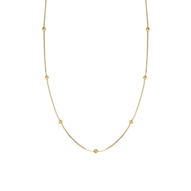 Collar Basic