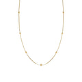 Collar Basic