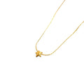 Collar Mini Star