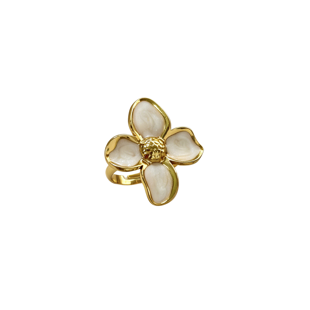 Anillo Duna