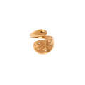 Anillo Atlanta